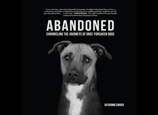 Abandoned by Katherine Carver on Pet Life Radio