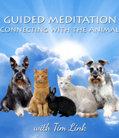 Tim Link - Guided Meditation - Connecting with the Animals  on Pet Life Radio