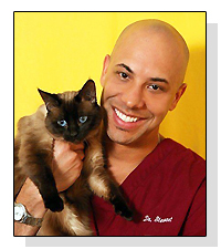 Dr. Kwane Stewart  on Pet Life Radio