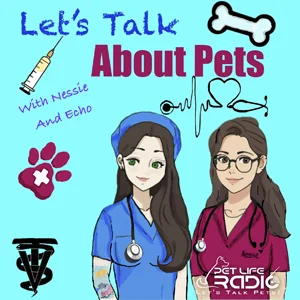 Let's Talk About Pets on Pet Life Radio