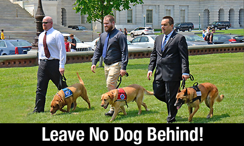 Leave No Dog Behind on Pet Life Radio