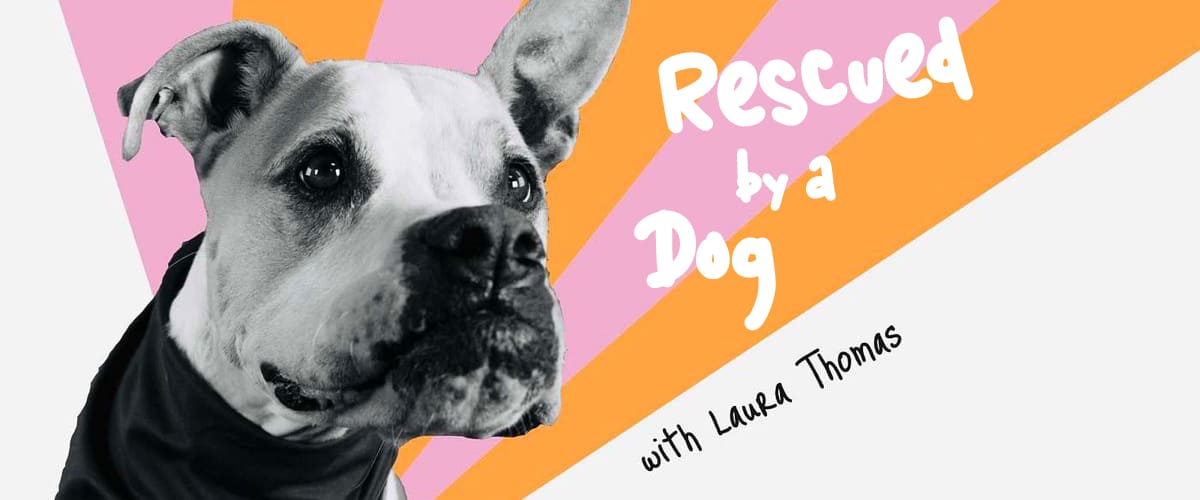 Rescued by a Dog on Pet Life Radio