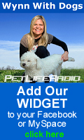 Add our Widget!