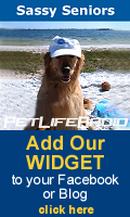 Get our widget here!